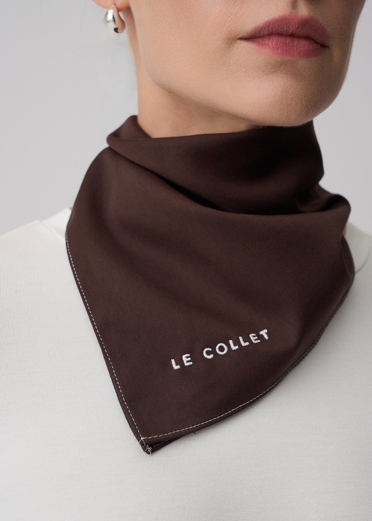 APASZKA ARREA BROWN LECOLLET