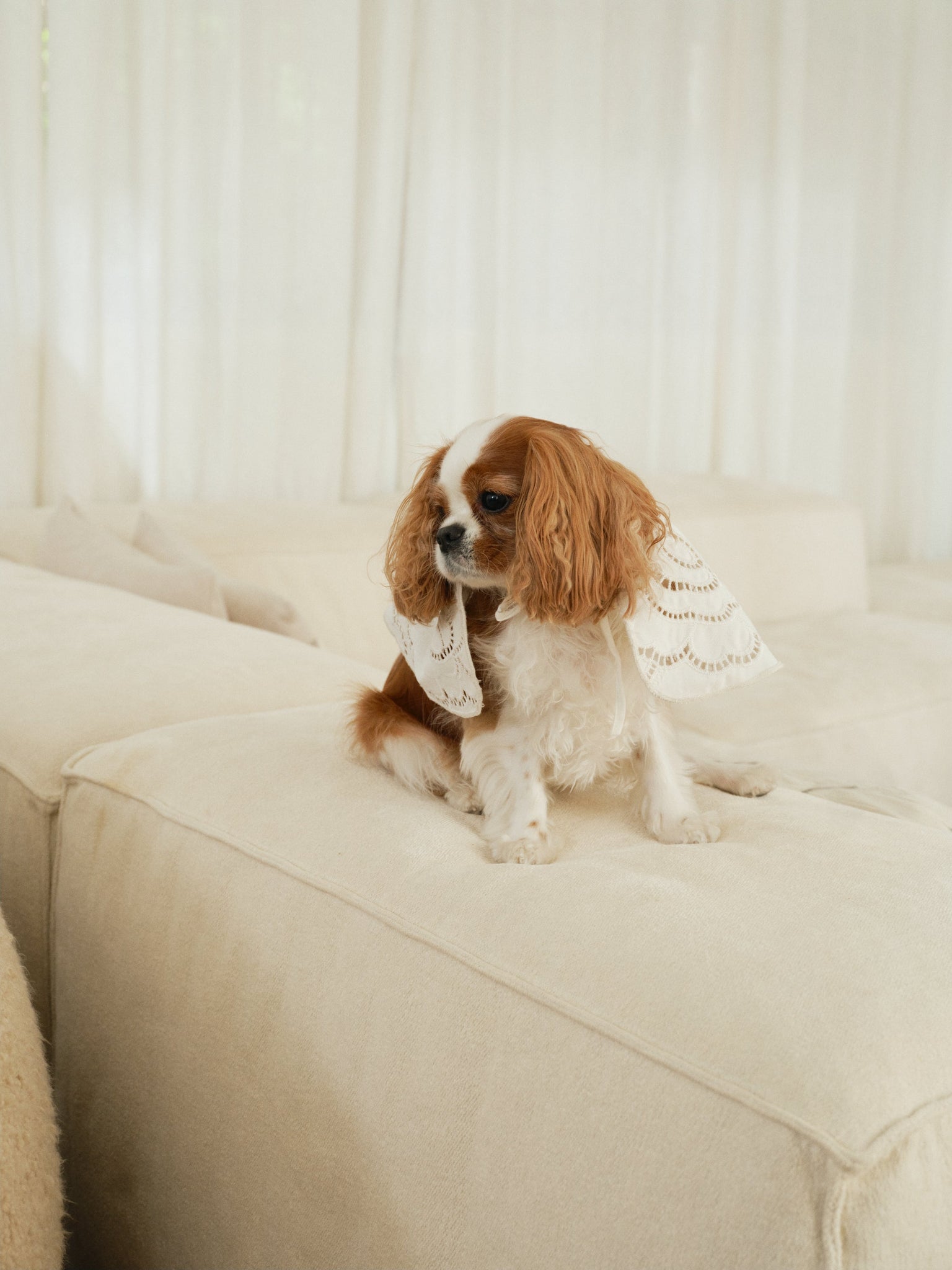 MANKIETY YANINA LECOLLET