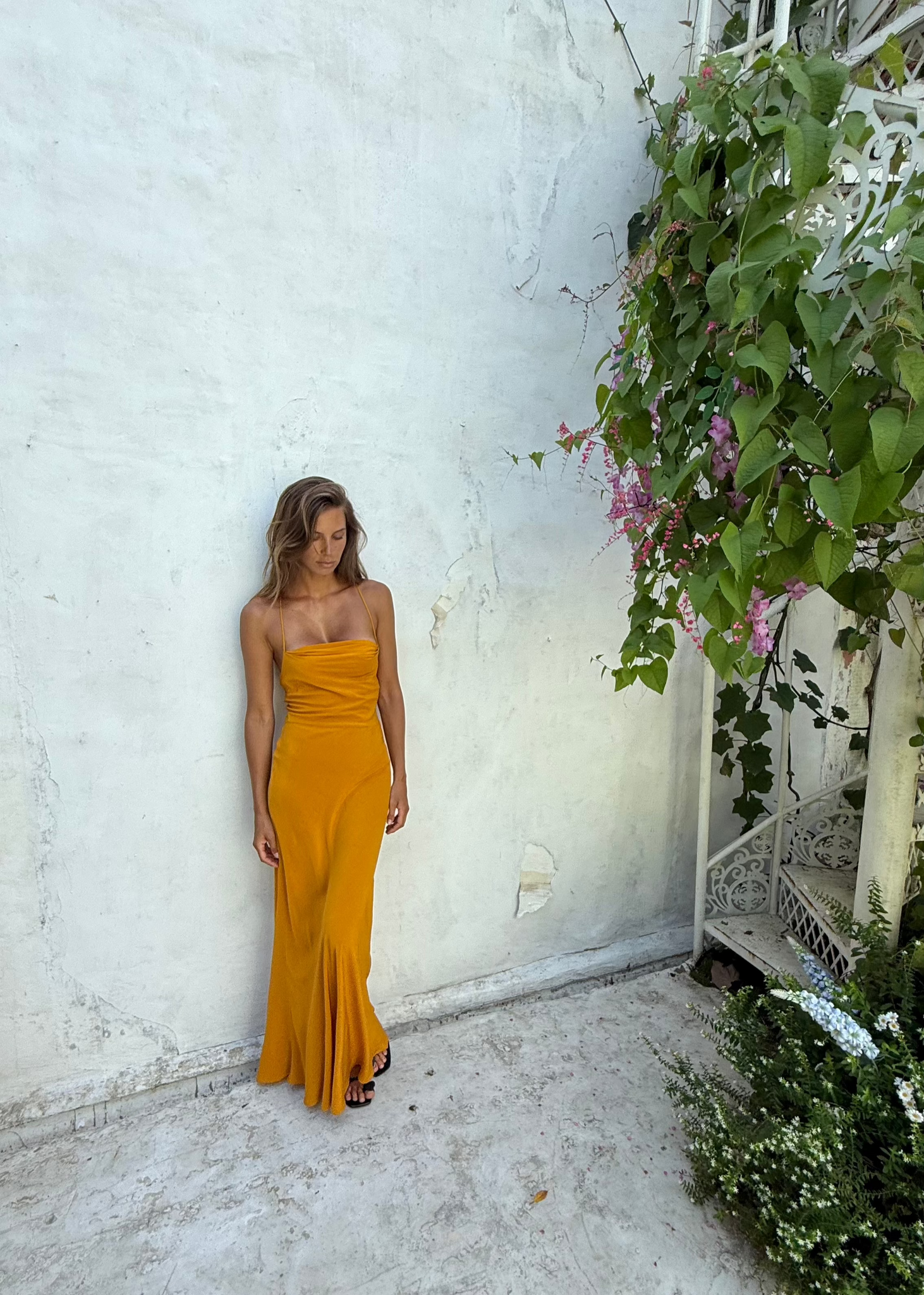 KORI MUSTARD LECOLLET