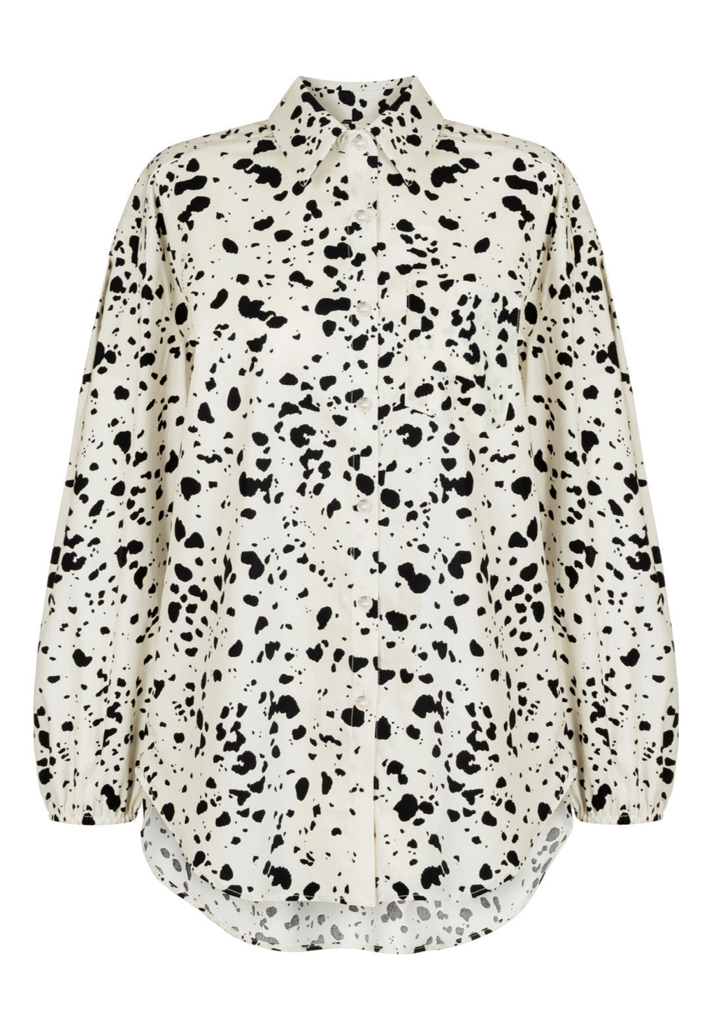 MONS II DALMATA LECOLLET