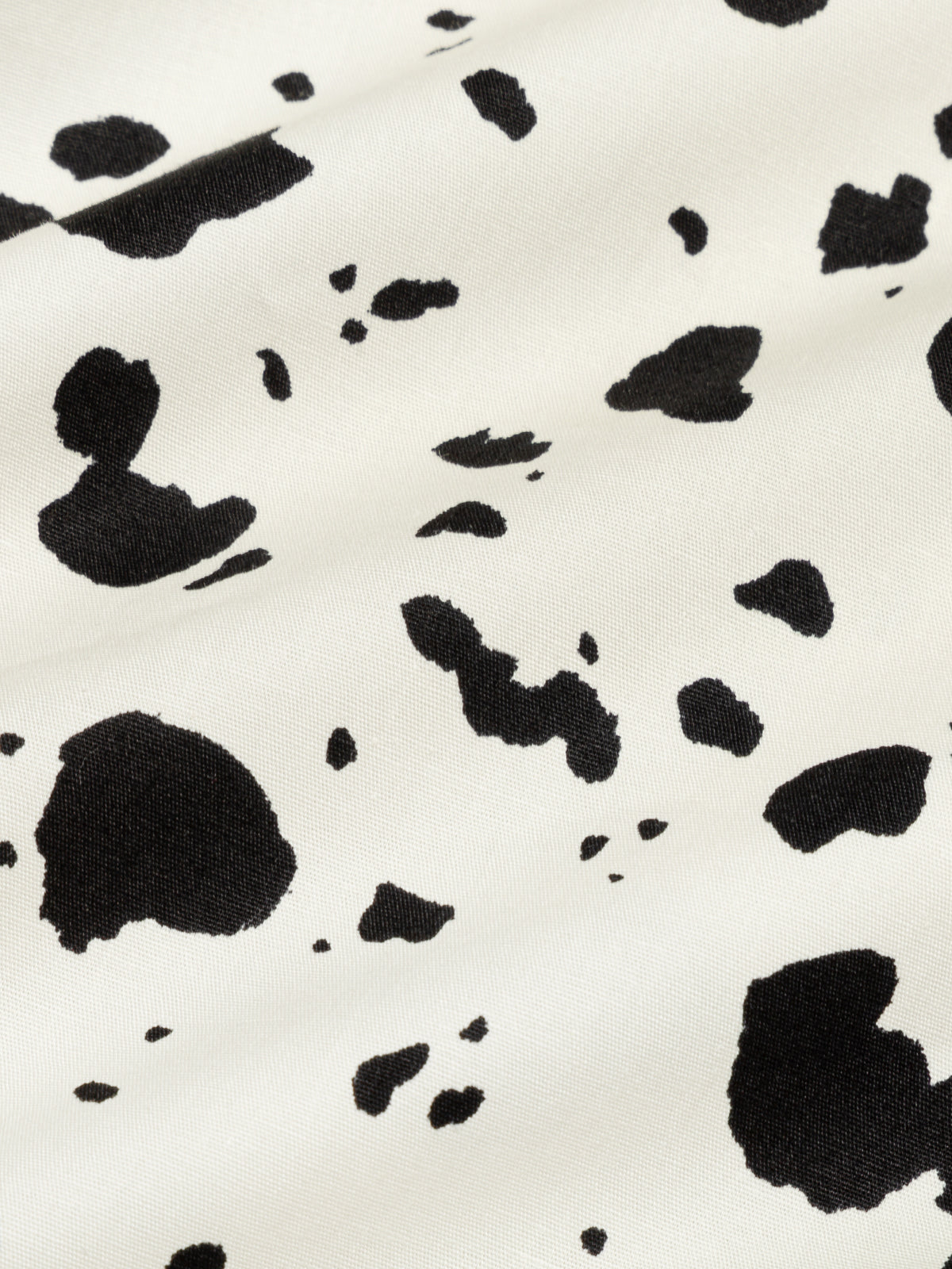 ZIA DALMATA LECOLLET