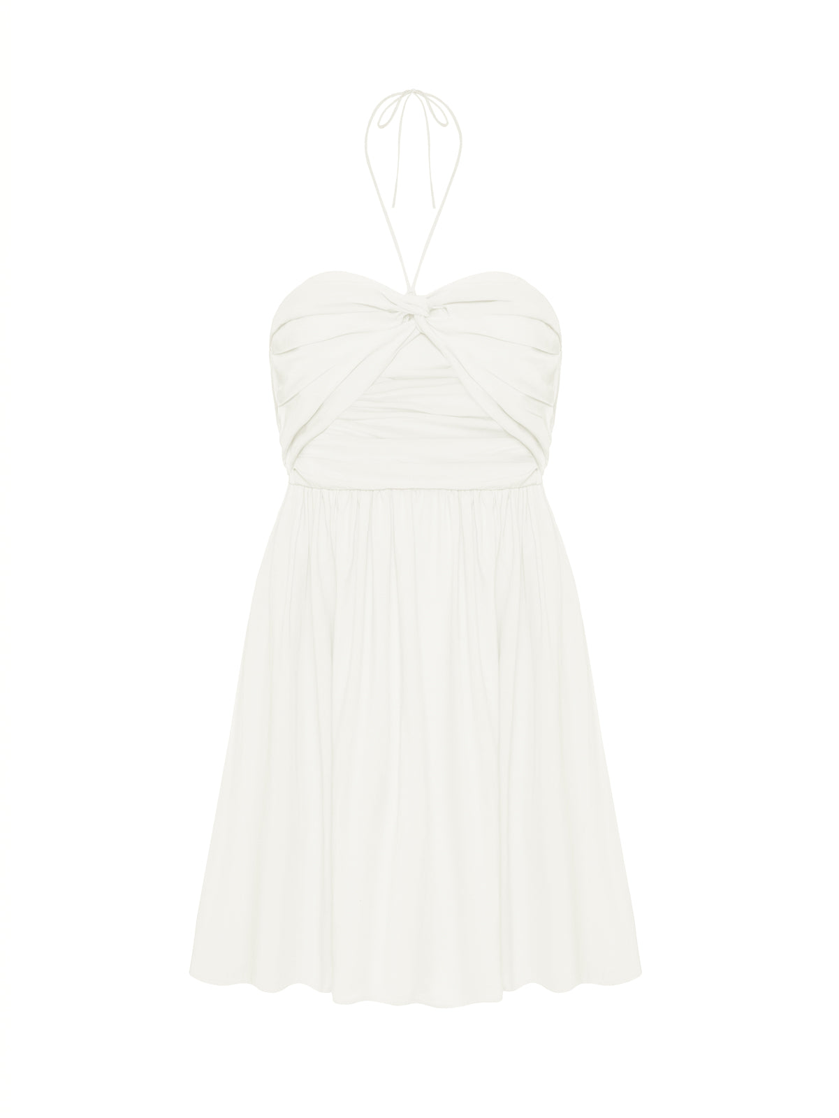 SALVIA BLANC LECOLLET