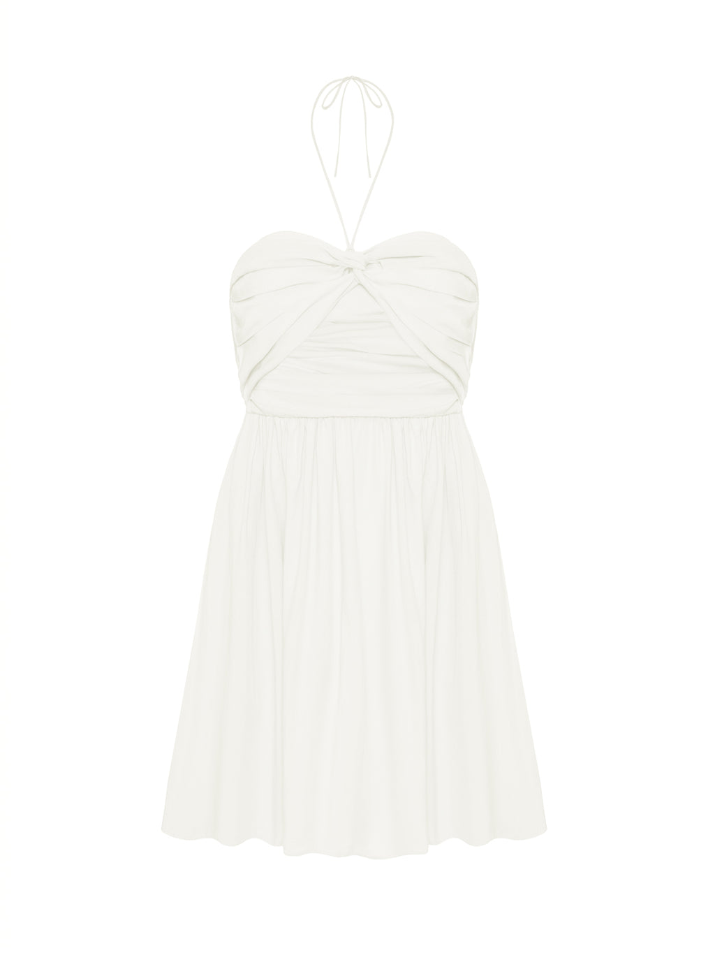 SALVIA BLANC LECOLLET